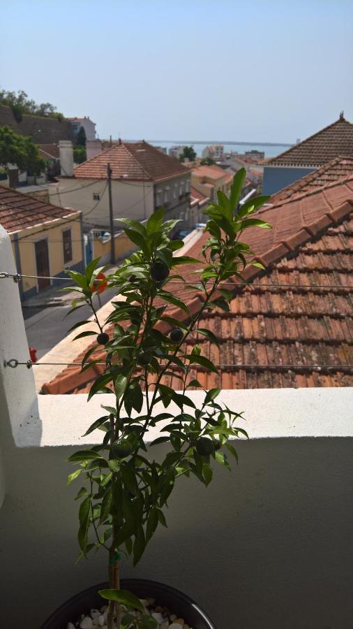 Villa Casa Do Viso Setúbal Exterior foto